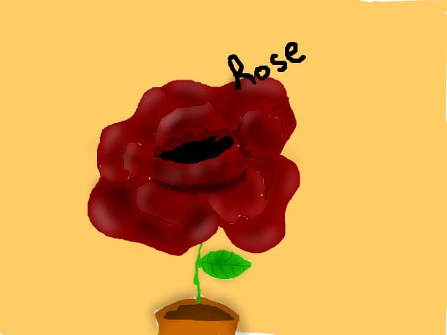 Un trandafir.....cu petalele ciudate
