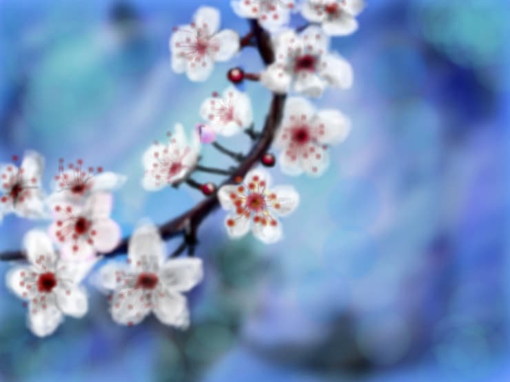 ...flowers...