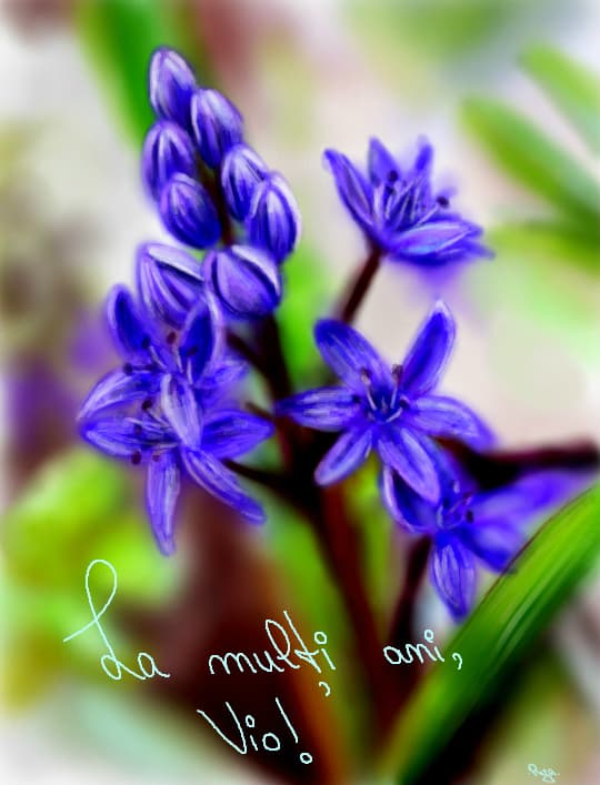 La multi ani, -viorel! :*
