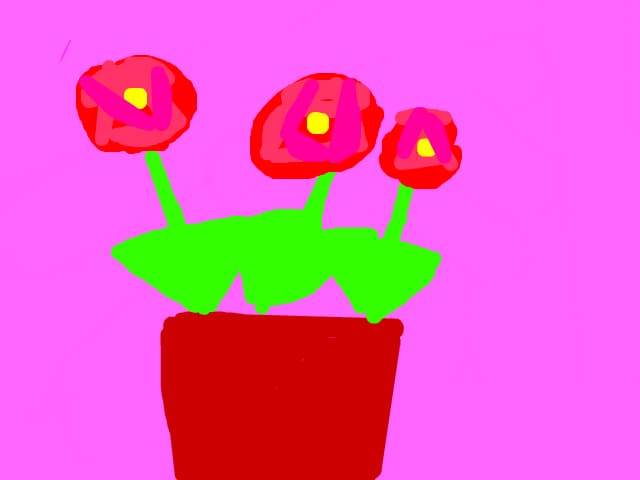 flori