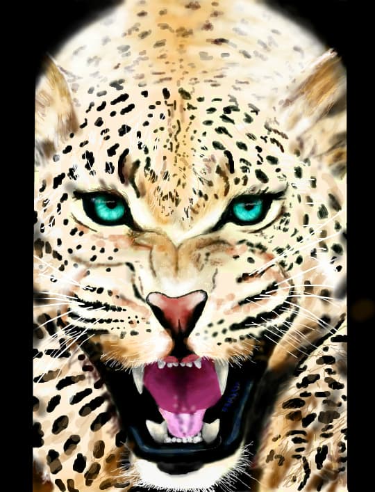 Hey tiger