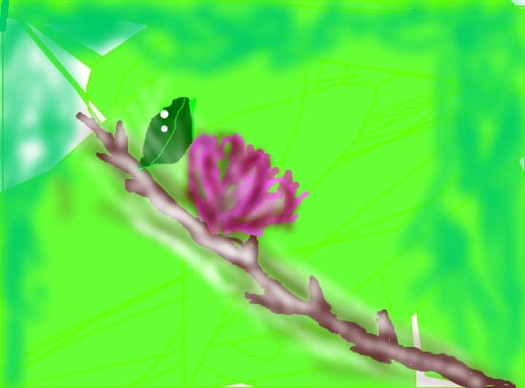 Floare pe creanga