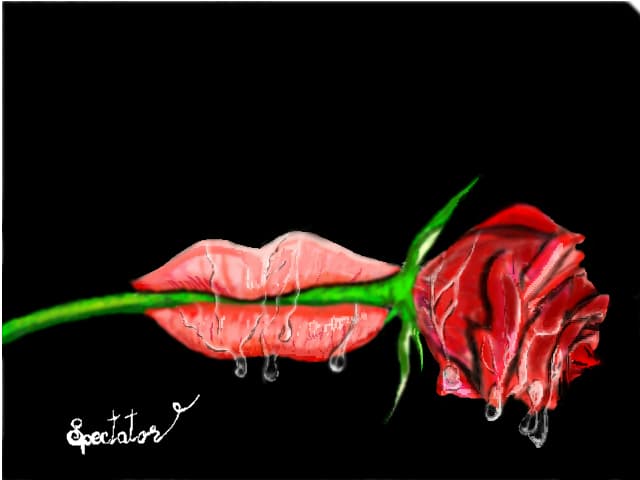 for criss.d.d