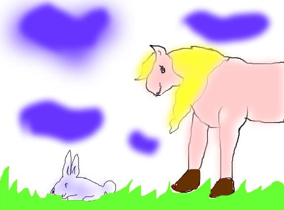 pony