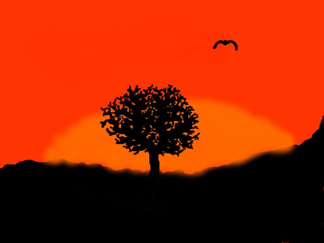 Sunrise