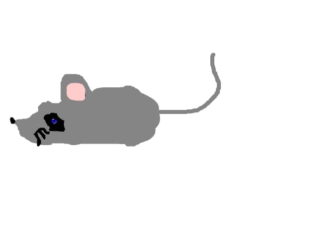 Soricel