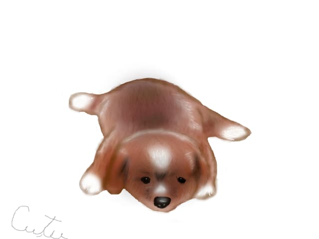 Cuuutu