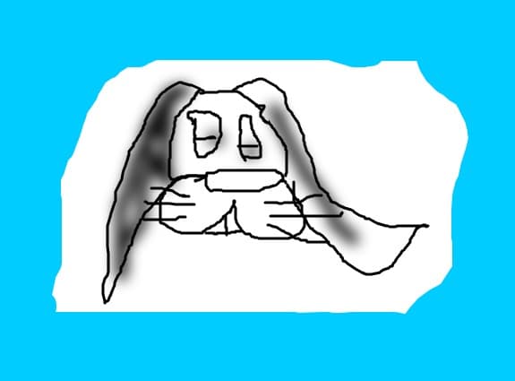 Iepuras