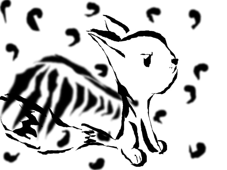 Little cat