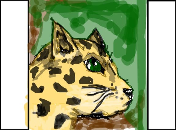 o felina...