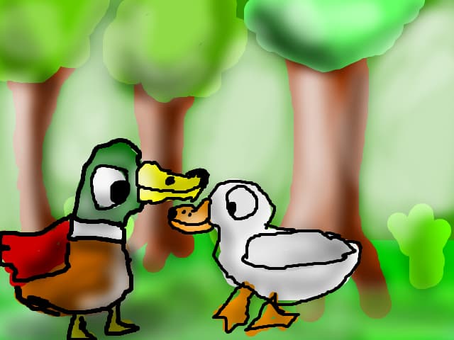 rata alba si mallard