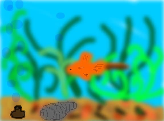 xipho fish