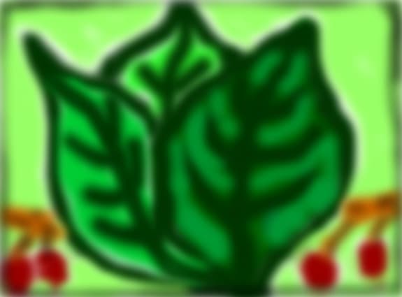 leaf