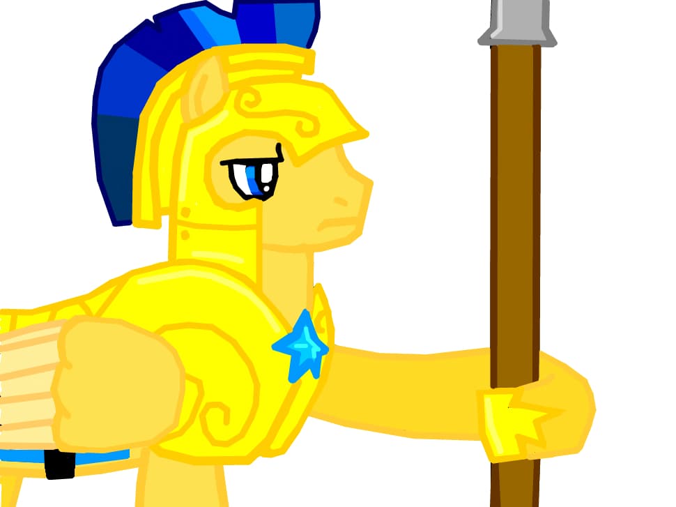 Flash Sentry