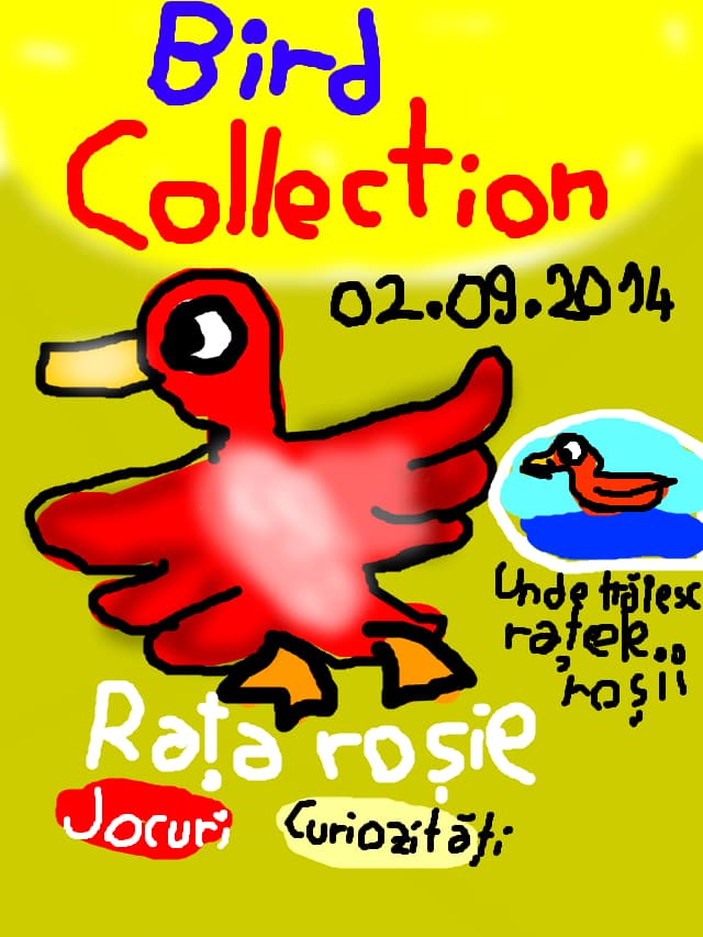 Revista Bird Collection