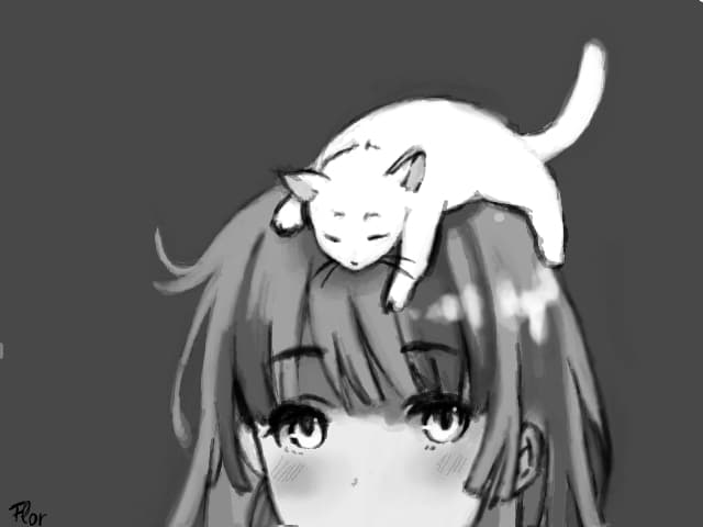 little kitten