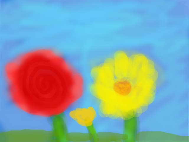 Flori
