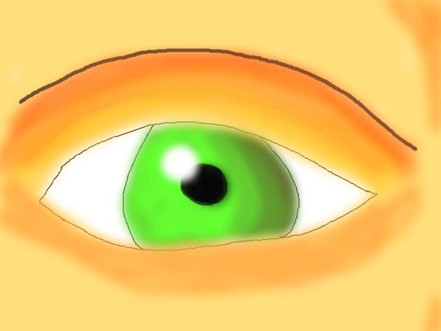 ochiul