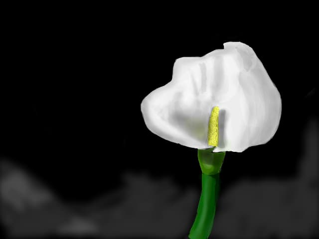 Floare