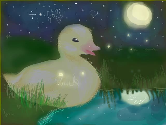 duck