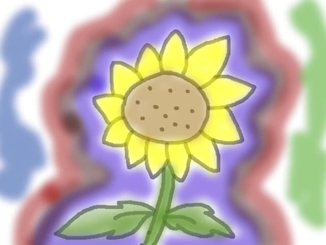 floarea soarelui