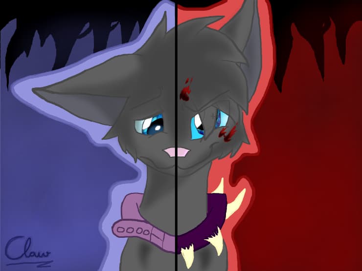 Two Sides of Scourge