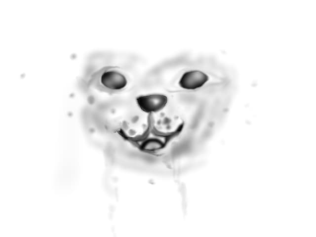 Puppy