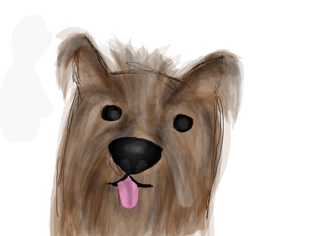 Cainele meu AXI