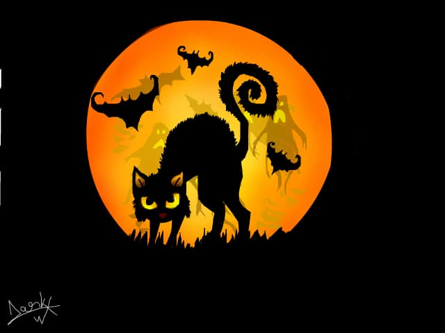 Kitty :3