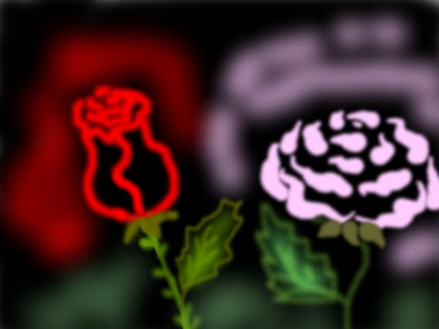 rose
