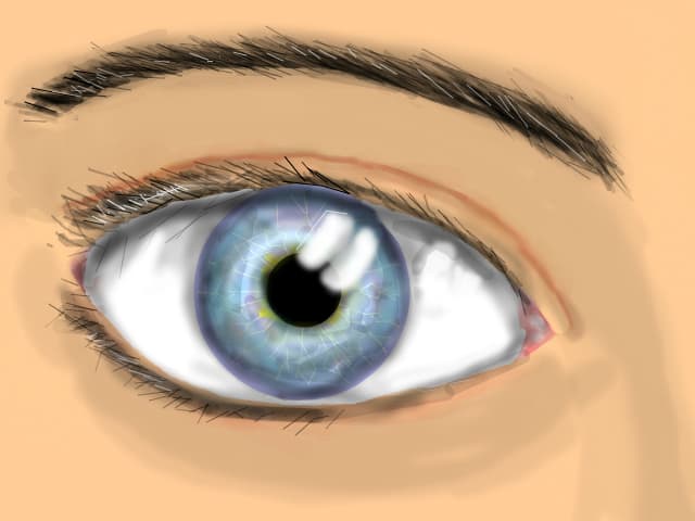eye