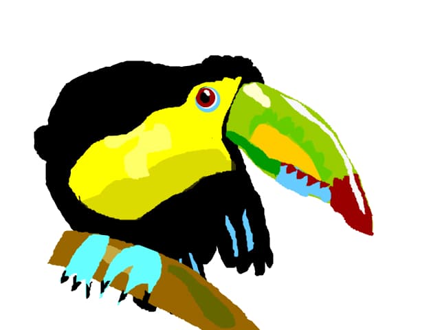 Tucan