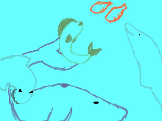 The Ocean