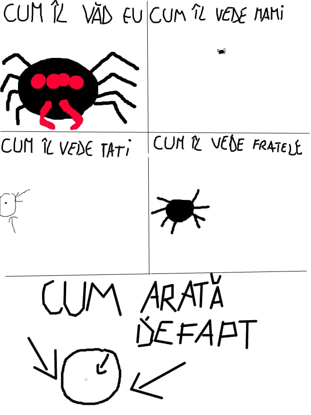 paianjeniiiii