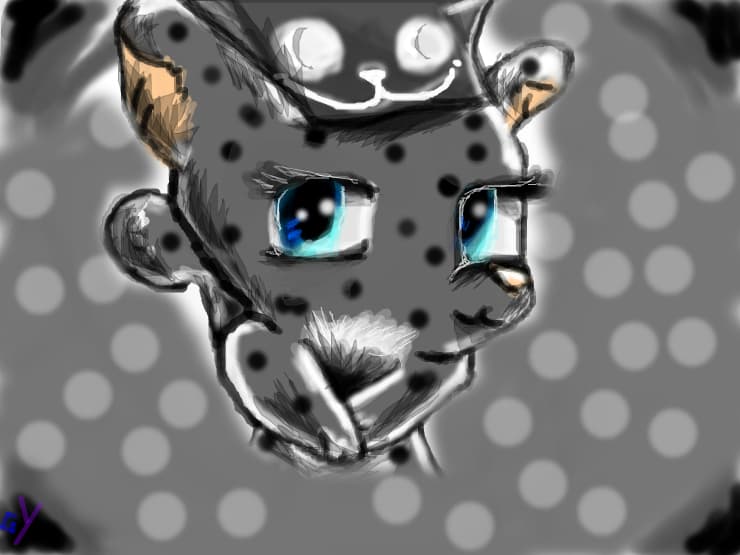 Transforcat =]]]
