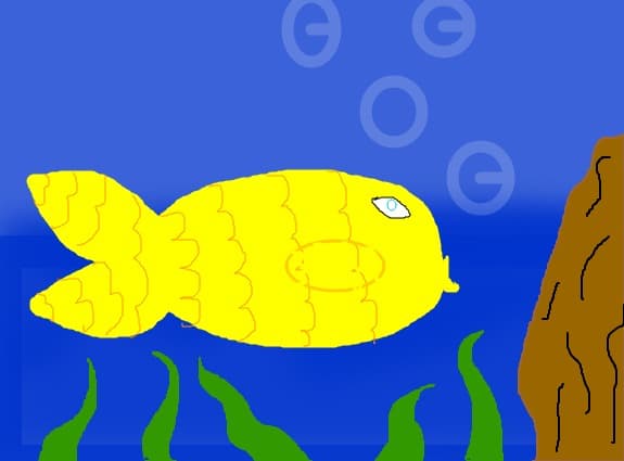 Fish 2