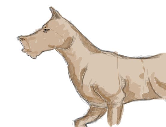 Just a horse.