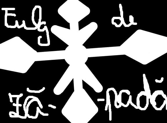 fulg de zapada