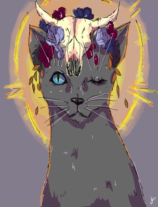Kitty