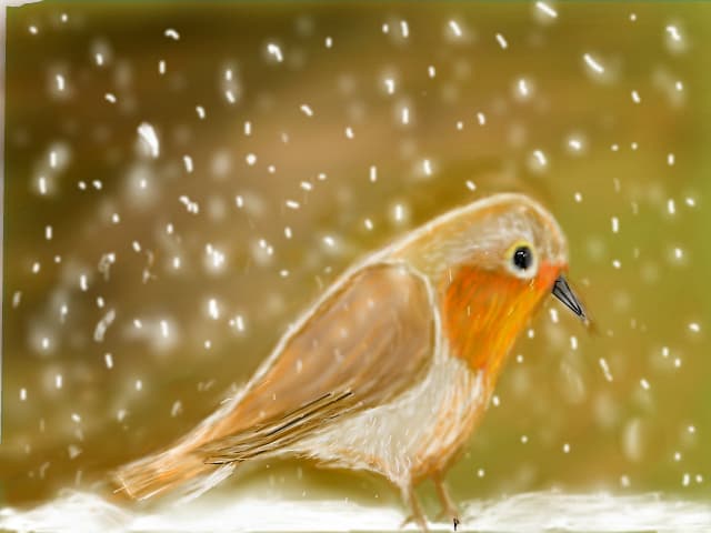ca tot ninge afara