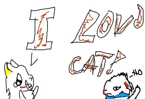 OMG!I LOVE CAT!THIS CAT!