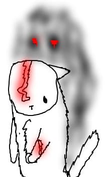 The cat..