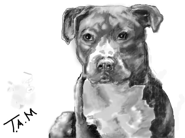 My little dog &amp;amp;amp;amp;lt;3