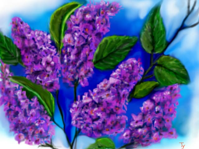 liliac