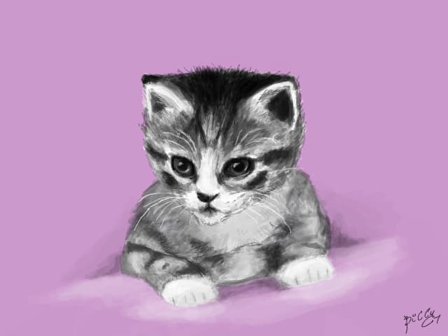 Kitty <3