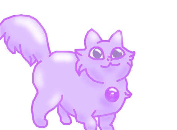 Amethyst The Cat