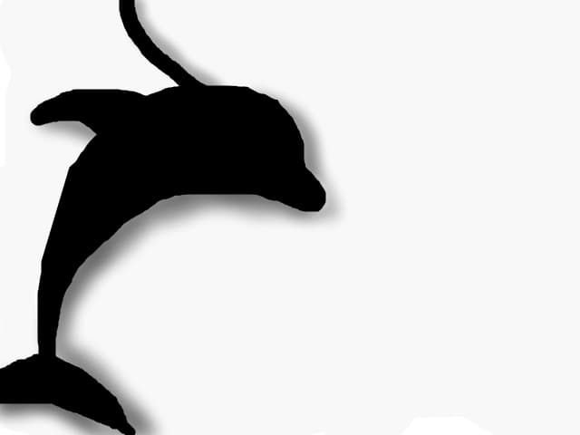 Un delfin