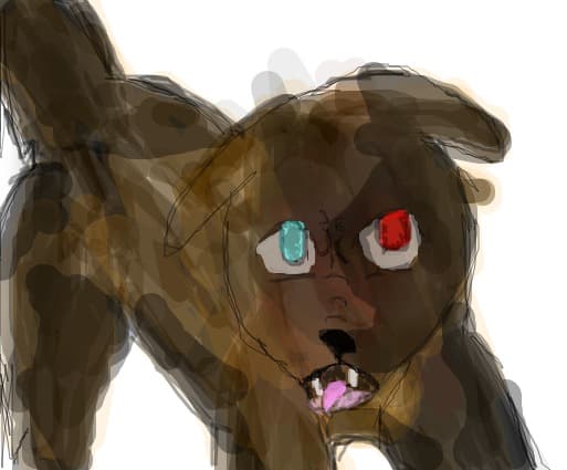 dogy dog
