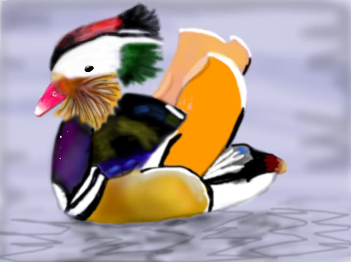 Rata mandarin