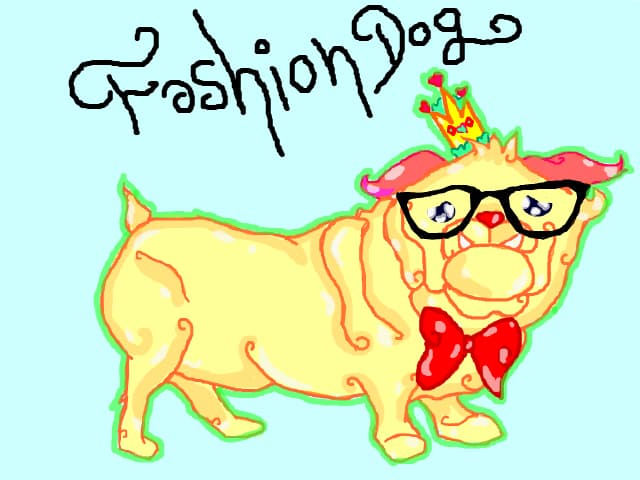 fashion dog